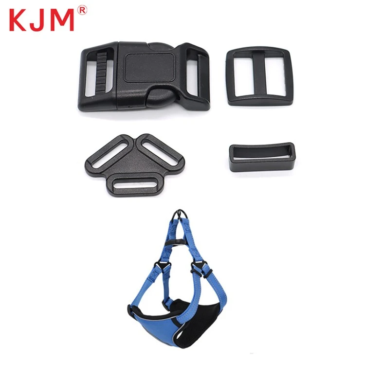 Buckle Assort